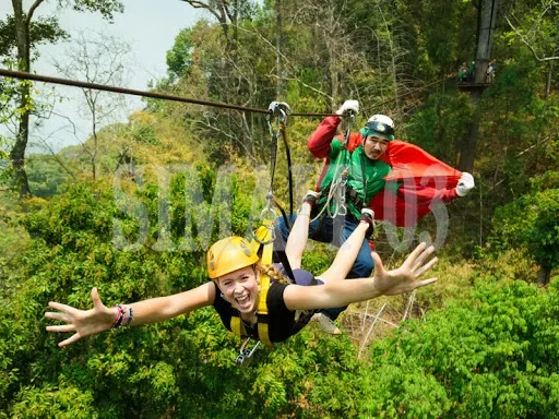 裏庭アドベンチャー ジップラインキット |   40mの長さ - Outdoor Adventure Zipline のレビューと価格